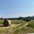2025 Grass Hay Round Bales 4 thumbnail