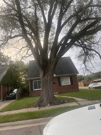 TREE TRIMMING NEEDED – BIRMINGHAM, MI 1