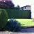 Tree Pruning Hedge Trimming Lawn Garden Maintenance Owner Operated 23 thumbnail