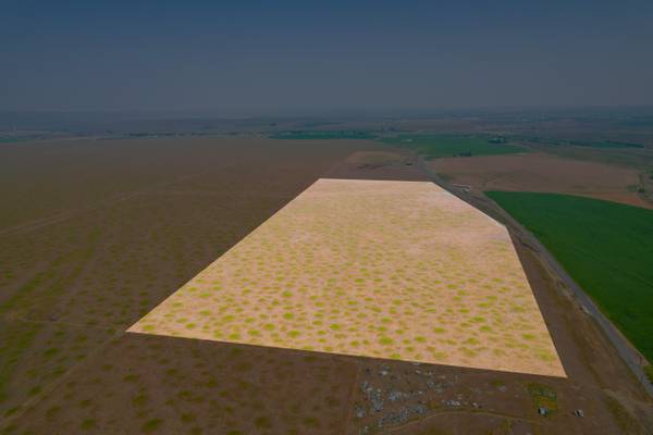 $369,950 400+ Acres in Grant County (Soap Lake)64281501950082121