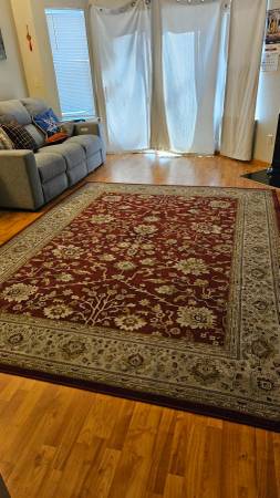 Living room rug SOLD 1