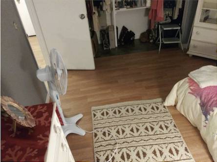 $585 / 3br - $585 (*REDUCCIÓN DE PRECIO) Habitación segura y relajada para estudiante/profesional trabajador (petaluma)63884004387585124