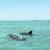 Affordable Beachfront Lots in Mexico (Yucatan) Gulf of Mexico 5 thumbnail