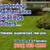 🔵 MORALES Gardening Landscaping. Estimates. 🔵 13 thumbnail