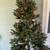 Christmas tree 4 thumbnail