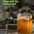 kombucha scoby starter $4 for 1 large Scoby mushroom firm 4 thumbnail