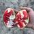 Pomegranates you pick 1 thumbnail