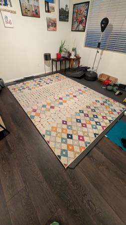 Area rug 1