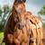 SOLID, SAFE, GENTLE GELDING 5 thumbnail