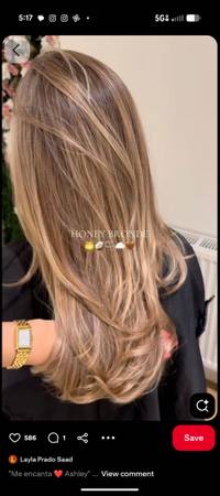 Reduced fee highlights, model needed for highlight class at a high end salon 1