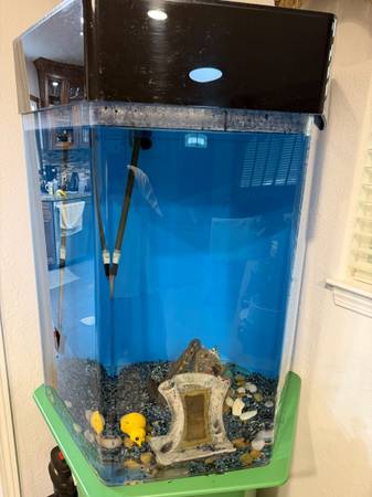 Hexagon Large Fish Tank 1