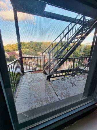 $950 / 1br - 600ft2 - 1 bedroom, Built In Shelving, Front Yard64013205786753121