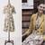 Anthropologie GIRLS FROM SAVOY 100% Cotton Alary Shirt Dress-Size 0 2 thumbnail
