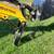 Mini excavator 8 thumbnail