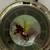 Franklin Mint Pocket Watches (The Alaska Bald Eagle Reserve) 4 thumbnail