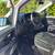 2017 MERCEDES BENZ METRIS CARGO VAN 4CYL GAS SAVER NO WINDOW CLEAN 18 thumbnail