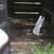 Propane gas fire pit 2 thumbnail