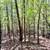 Over 3 acres at the end of a culdesac! Lot 37 8 thumbnail