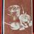 From Julia Child’s Kitchen Cookbook 1975 3 thumbnail