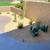 Tree & palm services, yard clean ups, artificial grass & pavers 13 thumbnail