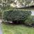 "SAILE" Landscaping 7 thumbnail