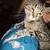 Female cat 3 thumbnail