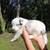 Border collies 19 thumbnail