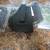 Holsters 4 thumbnail