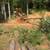 Site Development, Septic and utility installation, new construction 15 thumbnail