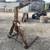 Crane Pallet Forks - Multiple 7 thumbnail