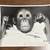 Rare Vintage Primate Photograph – Orangutan Baby in Outfit, 11.5” x 14 1 thumbnail