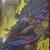 Batman  - Gotham After Midnight (deluxe edition) 1 thumbnail