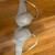 Victoria's Secret Size 36D Bra 1 thumbnail