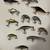12 Name Brand Crankbait Lures 2 thumbnail