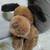 Dog doll 1 thumbnail