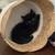 Kittens 3 thumbnail