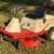 Simplicity Mower 1 thumbnail