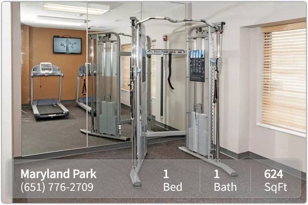 $1,435 / 1br - 624ft2 - Every Moment Counts: Make This Place Yours! (Saint Paul)64048422742019121