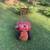 rototiller, Troy Bilt horse 7 hp 1 thumbnail