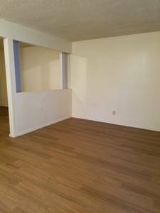 $1,250 / 1br - 530ft2 - Urban Edge is Your Home!! (Phoenix)64024996055939120