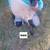 Sheep 2 thumbnail