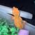 Crested Geckos RTB 6 thumbnail