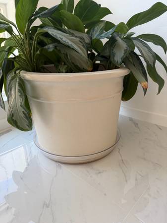 FS: Gainey Ceramics Pots - $50 (palm springs)63470807749379121