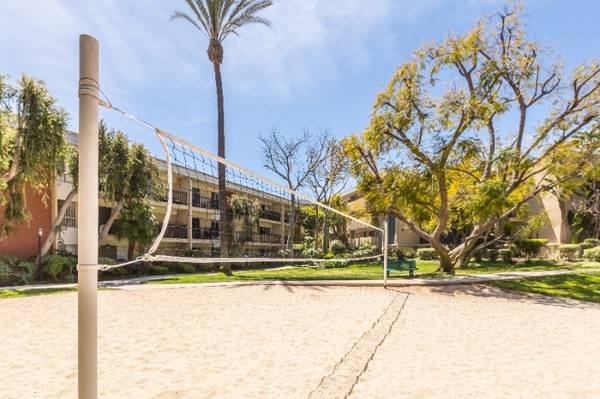 Spacious Studio with Pool, Gym, Movie Theatre & More!! 1