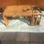 Vintage BoHo burned bamboo + wicker lap / bed tray A107 3 thumbnail