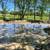 Land for sale 14.86 Acres approx. Somerville, TX 77879 14 thumbnail