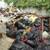 * JUNK & TRASH REMOVAL DUMP RUNS YARD CLEAN UPS 4 thumbnail