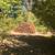 Marrowstone Island Rental 4 thumbnail