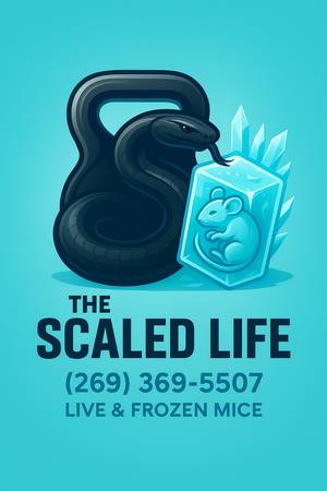 Live & Frozen Feeder Mice 1