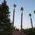 Ramirez the green landscaping maintenance n san diego areas 5 thumbnail